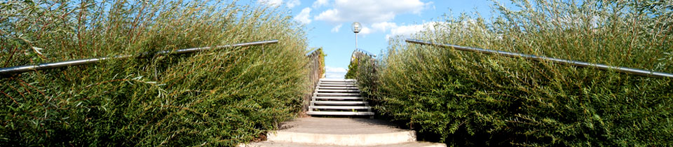 uzleti-filozofiank.jpg